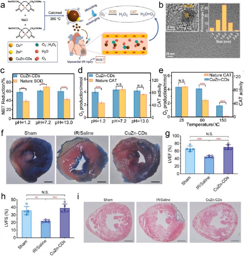 https://cdn.ncbi.nlm.nih.gov/pmc/blobs/6842/12398862/83fec7842bb5/gr3.jpg