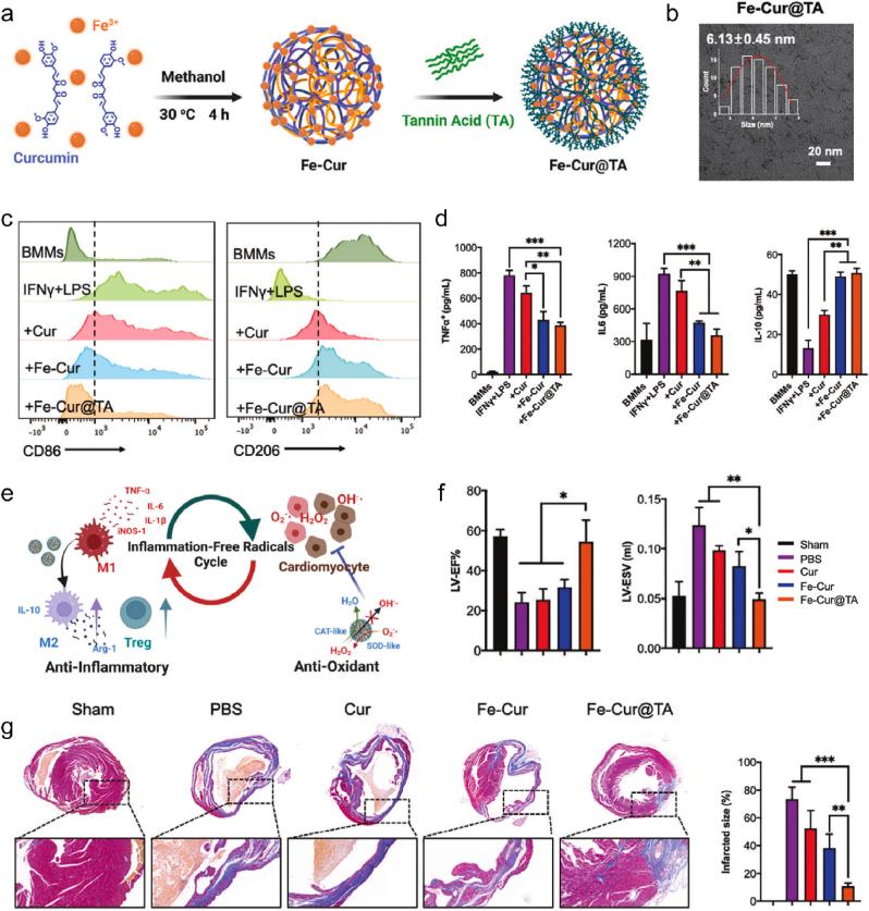 https://cdn.ncbi.nlm.nih.gov/pmc/blobs/6842/12398862/bb73c389a2cc/gr4.jpg