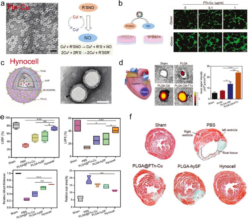 https://cdn.ncbi.nlm.nih.gov/pmc/blobs/6842/12398862/dda9d6115819/gr8.jpg