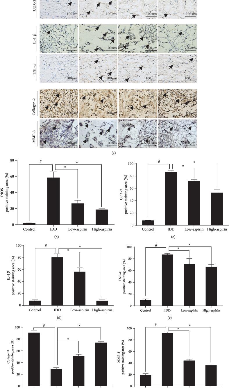 https://cdn.ncbi.nlm.nih.gov/pmc/blobs/6842/6874877/828fff826178/OMCL2019-7189854.008.jpg