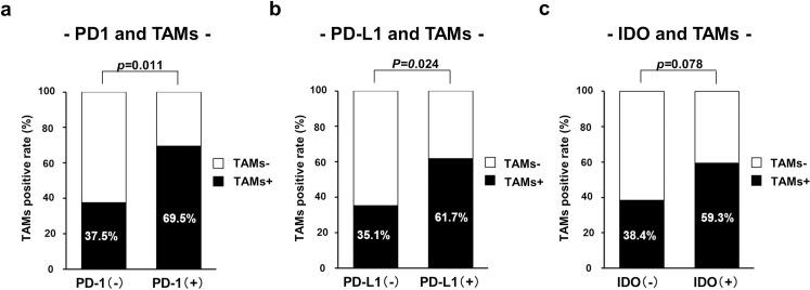 https://cdn.ncbi.nlm.nih.gov/pmc/blobs/6845/8604373/0373c5cc6ff5/pone.0259940.g002.jpg
