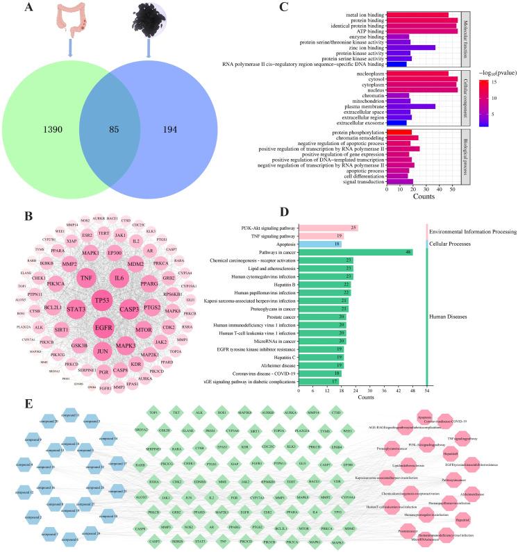 https://cdn.ncbi.nlm.nih.gov/pmc/blobs/6846/12213563/31352e2c17d5/fimmu-16-1605326-g010.jpg