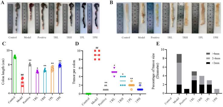 https://cdn.ncbi.nlm.nih.gov/pmc/blobs/6846/12213563/4947cdcec812/fimmu-16-1605326-g003.jpg