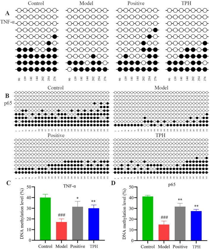 https://cdn.ncbi.nlm.nih.gov/pmc/blobs/6846/12213563/5cf78bd8dbed/fimmu-16-1605326-g007.jpg