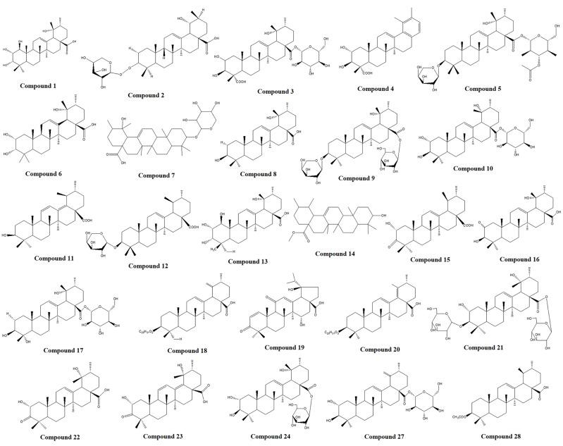 https://cdn.ncbi.nlm.nih.gov/pmc/blobs/6846/12213563/7200cad850ef/fimmu-16-1605326-g009.jpg