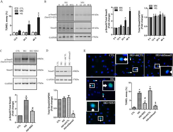 https://cdn.ncbi.nlm.nih.gov/pmc/blobs/6846/8181897/049d415c3629/biolopen-10-055012-g1.jpg