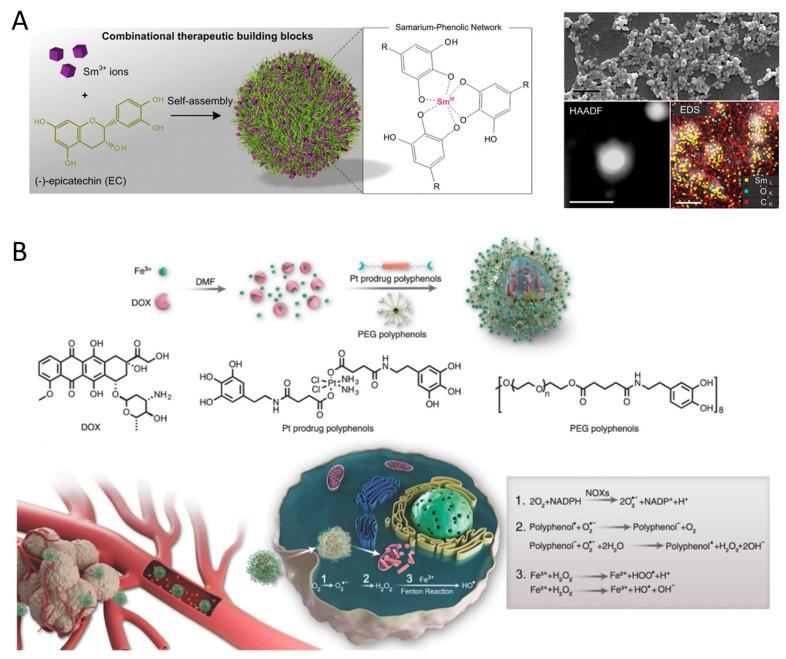 https://cdn.ncbi.nlm.nih.gov/pmc/blobs/6848/11359087/9c96f8ea4200/pharmaceutics-16-00972-g003.jpg