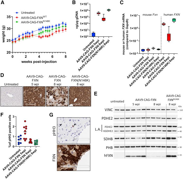 https://cdn.ncbi.nlm.nih.gov/pmc/blobs/6848/8866050/45b740e3b176/gr5.jpg