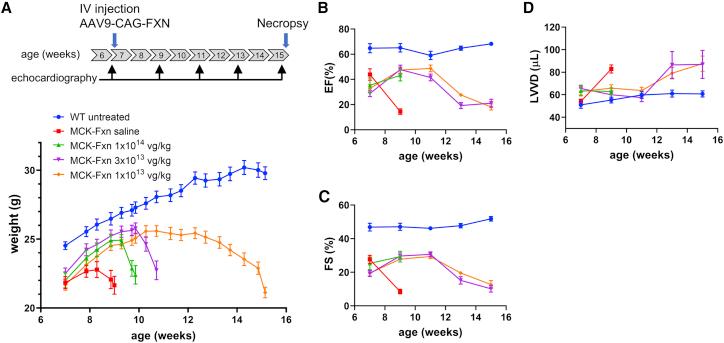 https://cdn.ncbi.nlm.nih.gov/pmc/blobs/6848/8866050/465f0b5554c7/gr1.jpg