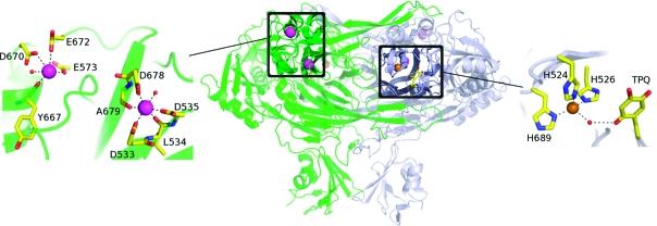 https://cdn.ncbi.nlm.nih.gov/pmc/blobs/6849/2817917/c0286c56b7ab/bi-2009-01738k_0005.jpg