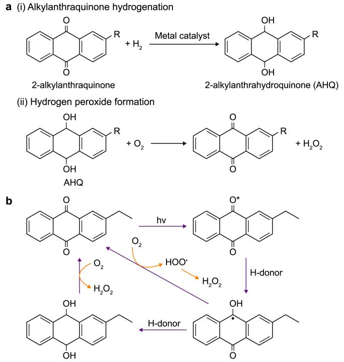 https://cdn.ncbi.nlm.nih.gov/pmc/blobs/684a/11298862/20e6d2ee04cf/gr2.jpg