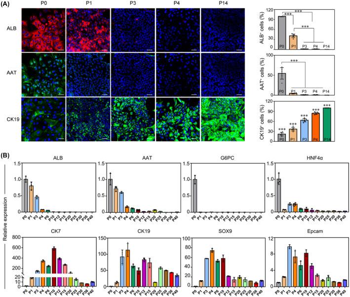 https://cdn.ncbi.nlm.nih.gov/pmc/blobs/684c/9790736/2adcc0e45535/HEP-76-1046-g001.jpg