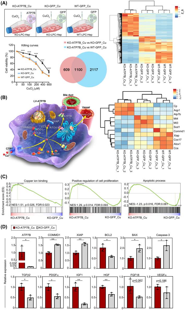 https://cdn.ncbi.nlm.nih.gov/pmc/blobs/684c/9790736/e16c7100f71b/HEP-76-1046-g002.jpg
