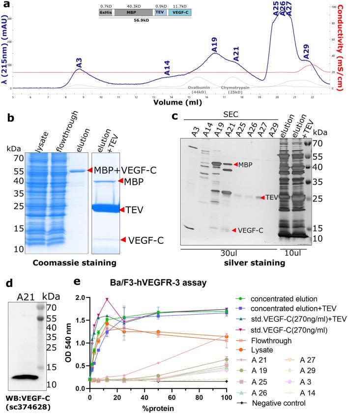 https://cdn.ncbi.nlm.nih.gov/pmc/blobs/684e/9616921/6ae09800b4d4/41598_2022_22960_Fig7_HTML.jpg