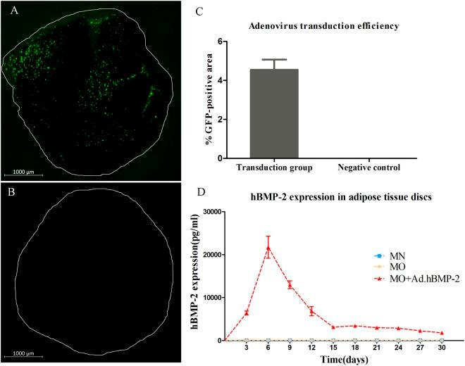 https://cdn.ncbi.nlm.nih.gov/pmc/blobs/684f/6338750/29b735524840/41598_2018_36283_Fig1_HTML.jpg