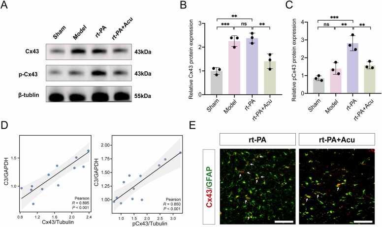 https://cdn.ncbi.nlm.nih.gov/pmc/blobs/6851/12022658/1c0b8c78f314/gr5.jpg
