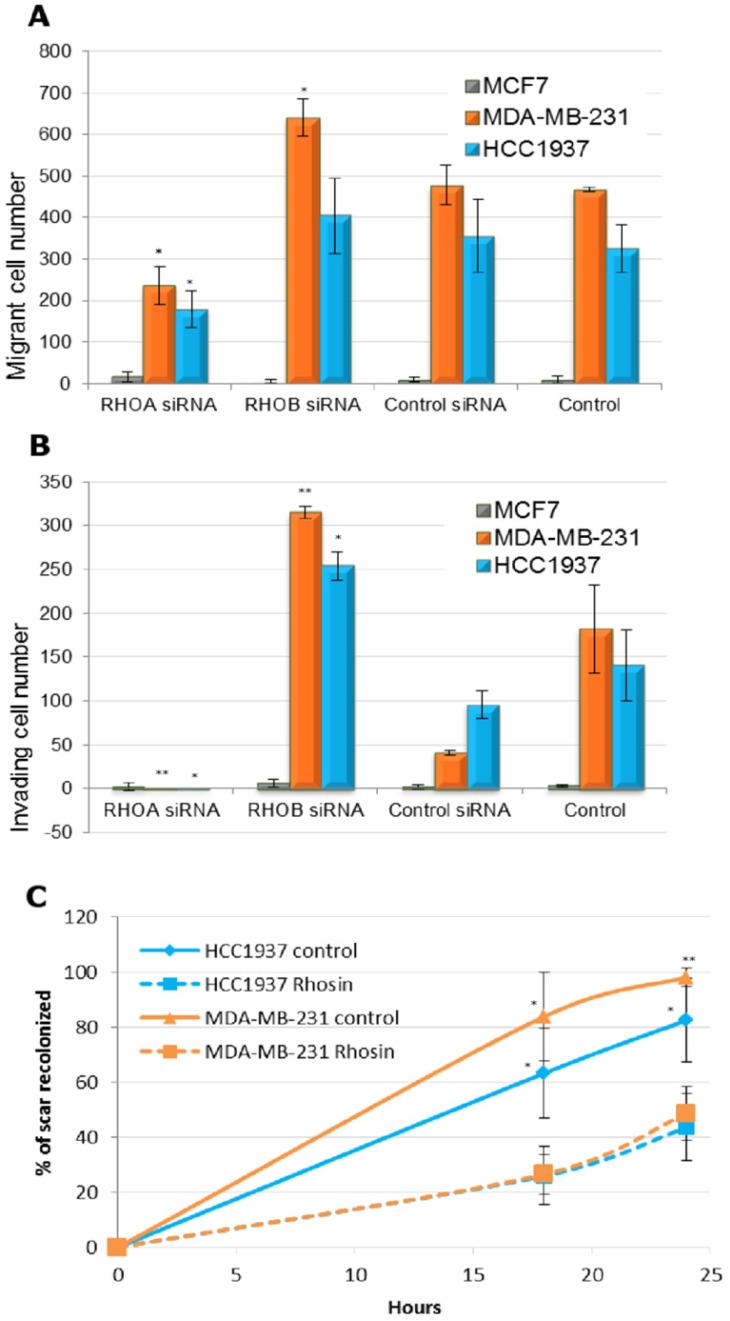 https://cdn.ncbi.nlm.nih.gov/pmc/blobs/6852/7645338/c4afb0b8edfc/ijmsv17p2799g003.jpg