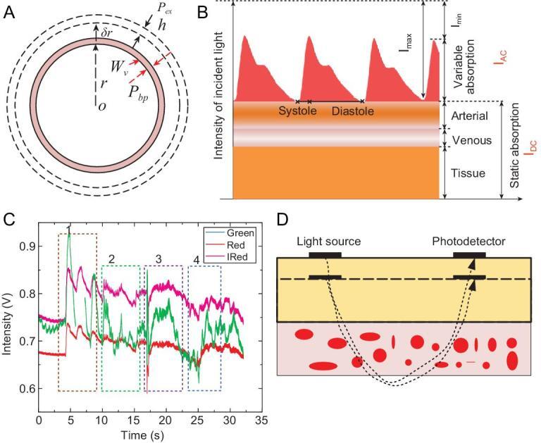 https://cdn.ncbi.nlm.nih.gov/pmc/blobs/6853/8288864/420138889894/nwaa022fig6.jpg