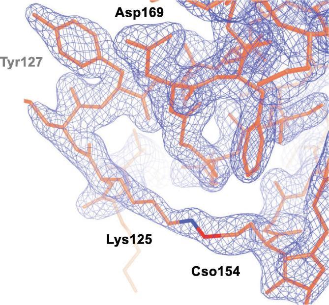https://cdn.ncbi.nlm.nih.gov/pmc/blobs/6855/7114459/685143a3d7ee/gr7.jpg