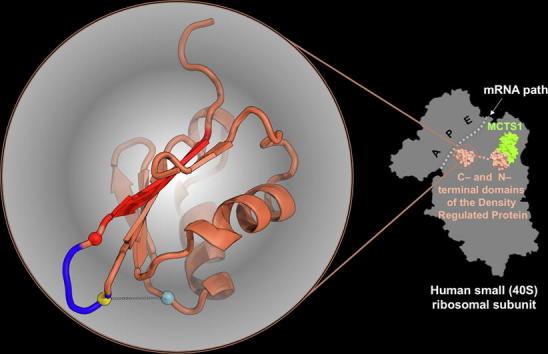 https://cdn.ncbi.nlm.nih.gov/pmc/blobs/6855/7114459/7f2d9d414e80/ga1.jpg