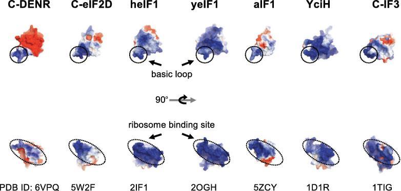 https://cdn.ncbi.nlm.nih.gov/pmc/blobs/6855/7114459/a2a653ac8c8a/gr4.jpg