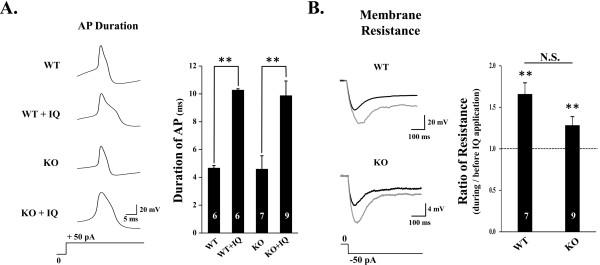 https://cdn.ncbi.nlm.nih.gov/pmc/blobs/6856/3292985/8fa6fa7ae51f/1744-8069-8-2-1.jpg