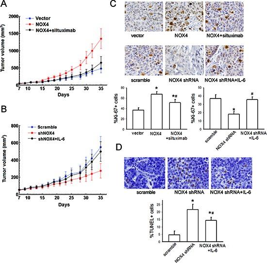 https://cdn.ncbi.nlm.nih.gov/pmc/blobs/6856/4359215/32faaea7d3bf/oncotarget-06-1031-g008.jpg