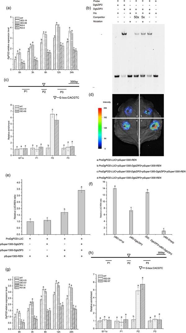 https://cdn.ncbi.nlm.nih.gov/pmc/blobs/6858/9271009/59fc372cc879/uhac105f5.jpg