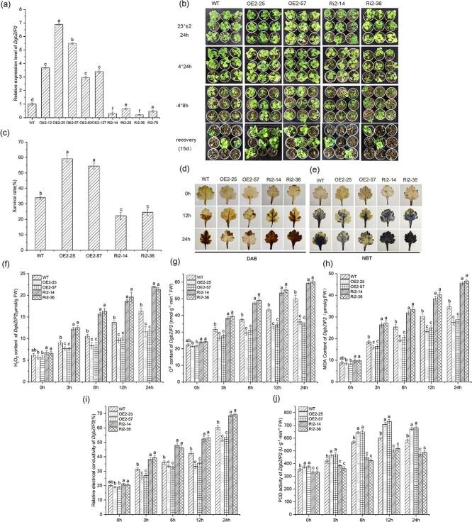 https://cdn.ncbi.nlm.nih.gov/pmc/blobs/6858/9271009/fab8b33f87a9/uhac105f4.jpg