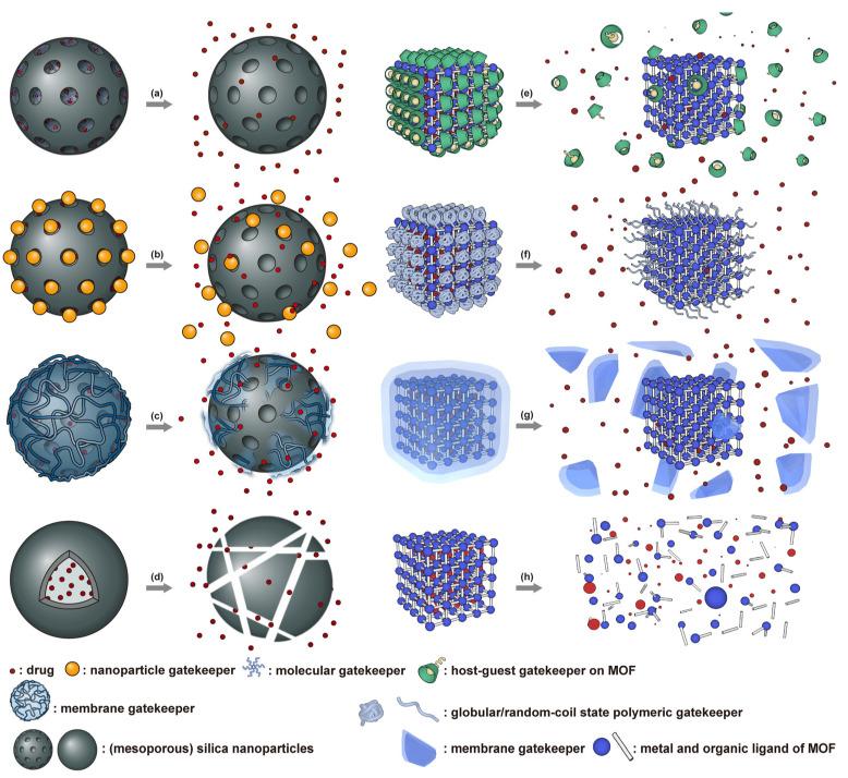 https://cdn.ncbi.nlm.nih.gov/pmc/blobs/6859/8000772/6353d34fd91a/nanomaterials-11-00746-g004.jpg
