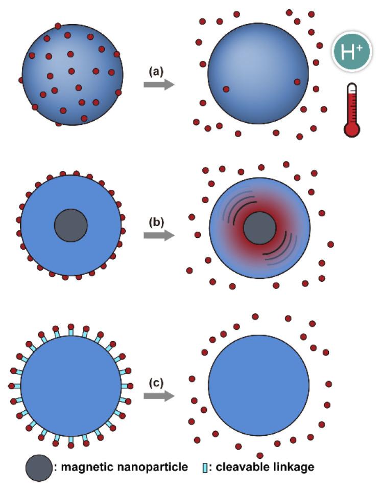 https://cdn.ncbi.nlm.nih.gov/pmc/blobs/6859/8000772/7cdf2cea5086/nanomaterials-11-00746-g005.jpg