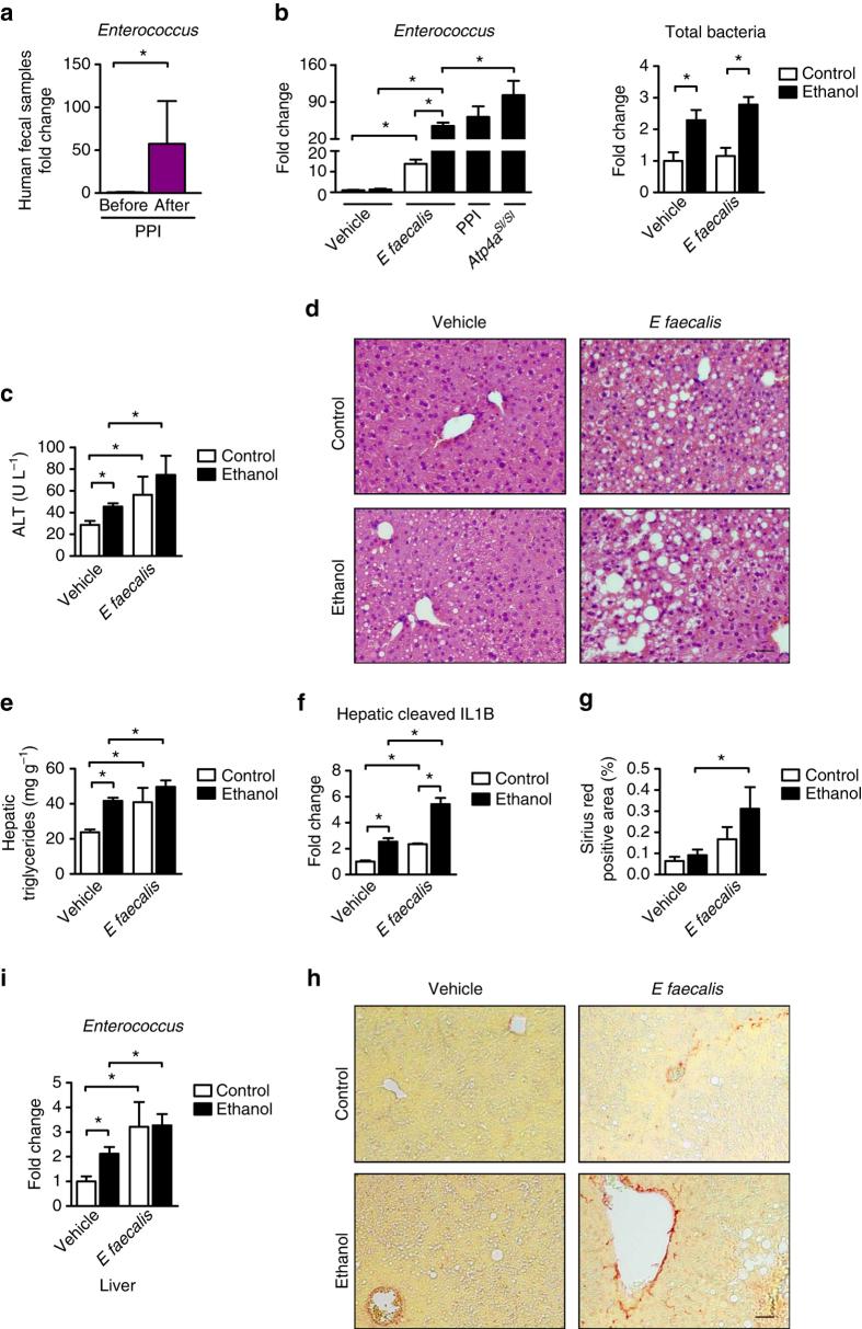 https://cdn.ncbi.nlm.nih.gov/pmc/blobs/685a/5643518/261a76413eaa/41467_2017_796_Fig6_HTML.jpg