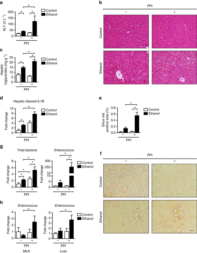 https://cdn.ncbi.nlm.nih.gov/pmc/blobs/685a/5643518/3deff346a7a2/41467_2017_796_Fig4_HTML.jpg