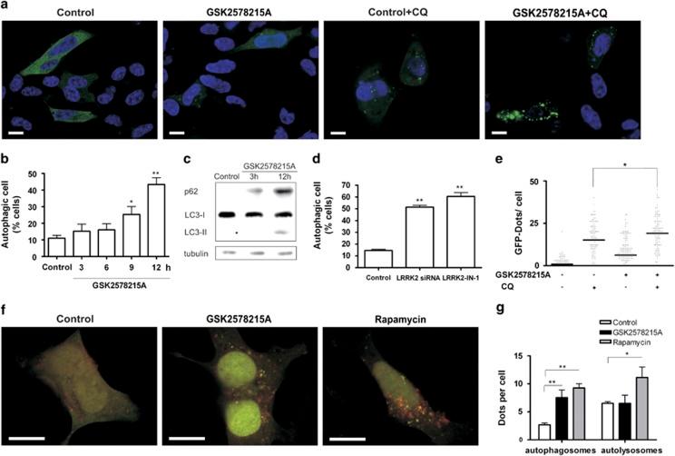 https://cdn.ncbi.nlm.nih.gov/pmc/blobs/685d/4454299/30acdcc90a8e/cddis2014320f1.jpg