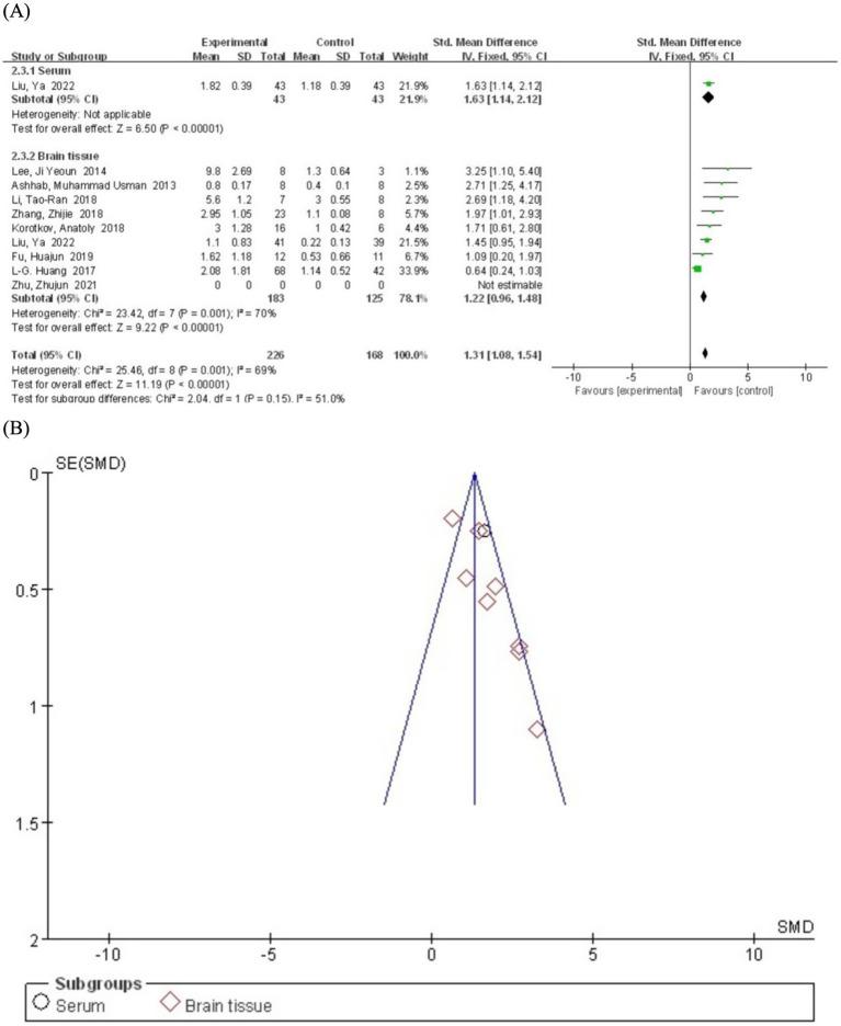 https://cdn.ncbi.nlm.nih.gov/pmc/blobs/685f/12380531/dd230ac207fb/fneur-16-1630581-g005.jpg