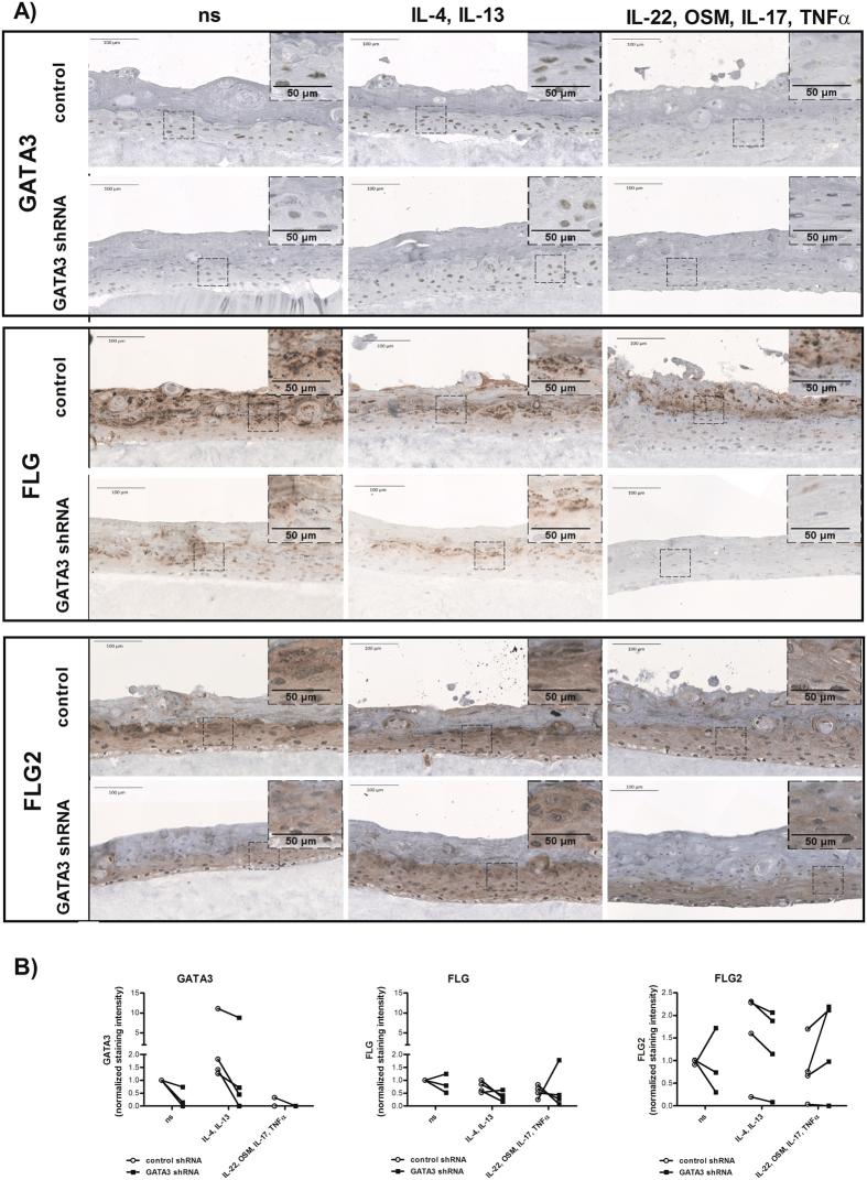 https://cdn.ncbi.nlm.nih.gov/pmc/blobs/6860/5605628/3c8a2756d0be/41598_2017_10252_Fig6_HTML.jpg