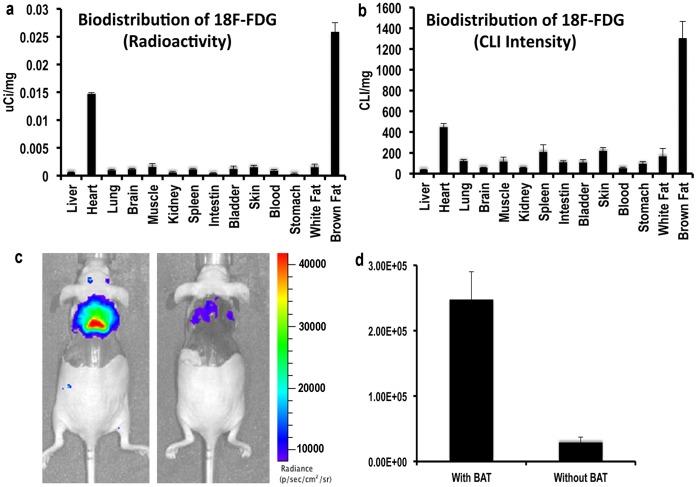 https://cdn.ncbi.nlm.nih.gov/pmc/blobs/6861/3634850/7433db4d0b76/pone.0062007.g002.jpg