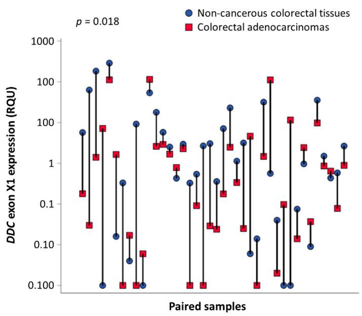 https://cdn.ncbi.nlm.nih.gov/pmc/blobs/6861/7697000/54cfcdfa964b/ijms-21-08568-g004.jpg