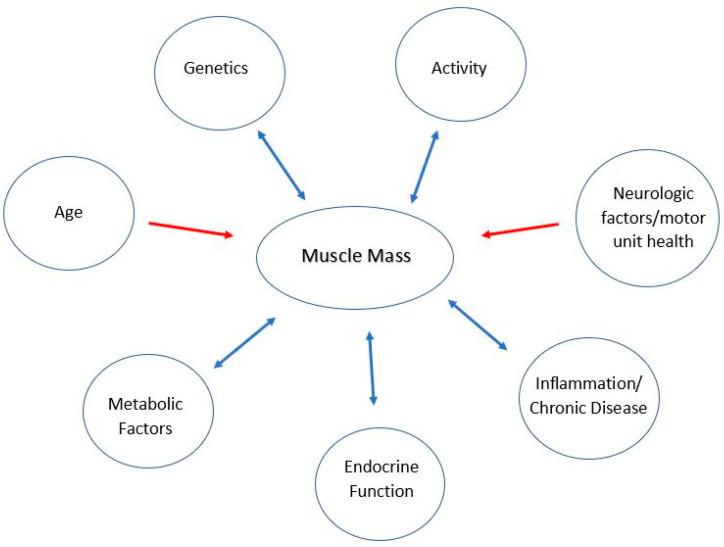https://cdn.ncbi.nlm.nih.gov/pmc/blobs/6863/10217275/c3f67b33defd/children-10-00837-g002.jpg