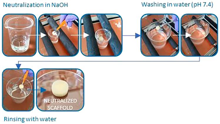 https://cdn.ncbi.nlm.nih.gov/pmc/blobs/6863/11803828/ea313fa3baf7/gr5.jpg
