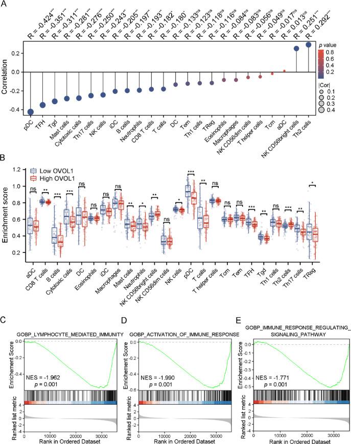 https://cdn.ncbi.nlm.nih.gov/pmc/blobs/6864/12304111/14e2bff055f7/41598_2025_13196_Fig4_HTML.jpg
