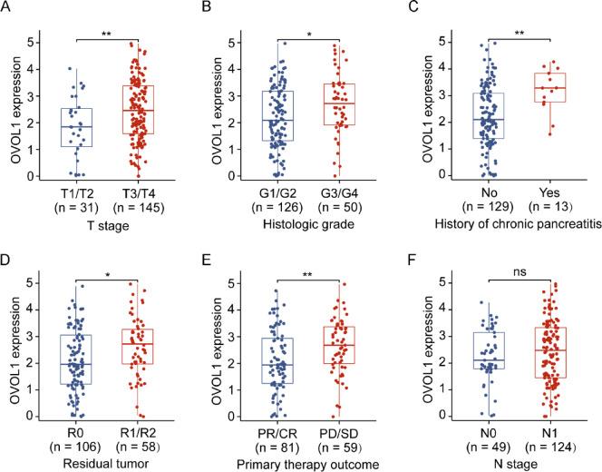 https://cdn.ncbi.nlm.nih.gov/pmc/blobs/6864/12304111/2ba1fad2724f/41598_2025_13196_Fig2_HTML.jpg
