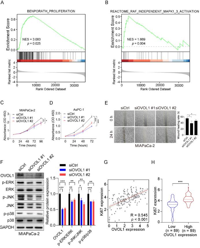 https://cdn.ncbi.nlm.nih.gov/pmc/blobs/6864/12304111/2ff4ceb2edc5/41598_2025_13196_Fig7_HTML.jpg