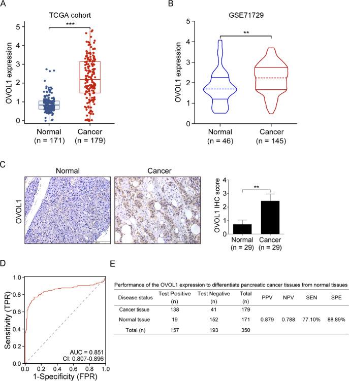 https://cdn.ncbi.nlm.nih.gov/pmc/blobs/6864/12304111/5ecad759ce84/41598_2025_13196_Fig1_HTML.jpg