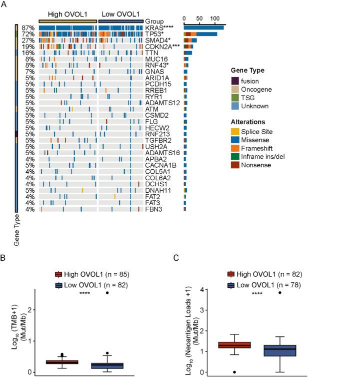 https://cdn.ncbi.nlm.nih.gov/pmc/blobs/6864/12304111/b4175829ee6f/41598_2025_13196_Fig5_HTML.jpg