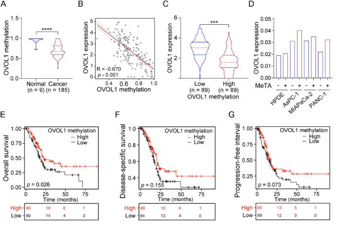 https://cdn.ncbi.nlm.nih.gov/pmc/blobs/6864/12304111/f95247fa9b03/41598_2025_13196_Fig8_HTML.jpg