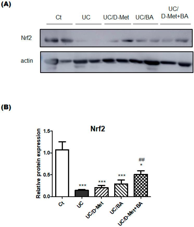 https://cdn.ncbi.nlm.nih.gov/pmc/blobs/6866/10254188/d706ab373009/molecules-28-04392-g006.jpg