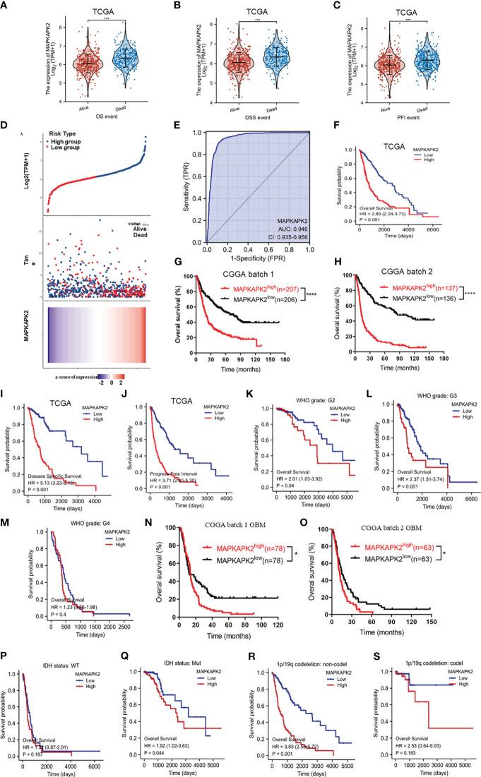 https://cdn.ncbi.nlm.nih.gov/pmc/blobs/6867/10844562/9938df815b8f/fonc-14-1307992-g003.jpg