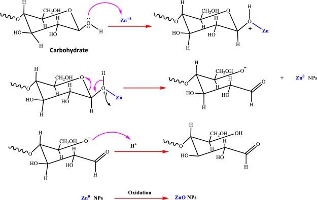 https://cdn.ncbi.nlm.nih.gov/pmc/blobs/6867/6499781/11af4569a0af/41598_2019_43368_Fig5_HTML.jpg