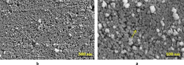 https://cdn.ncbi.nlm.nih.gov/pmc/blobs/6867/6499781/b11b521cc83e/41598_2019_43368_Fig6_HTML.jpg